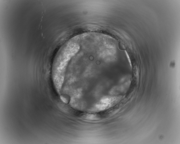 X0000103140507200809192008