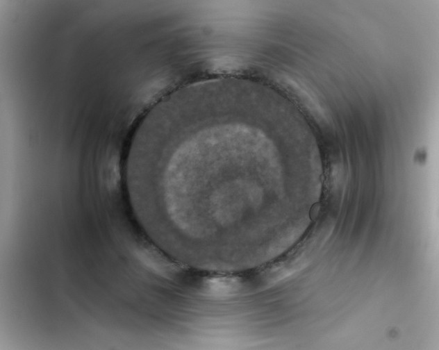 X0000103140508200809192008