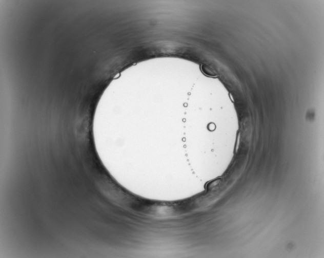 X0000103140509200809192008