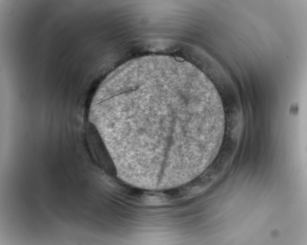 X0000103140510200809192008