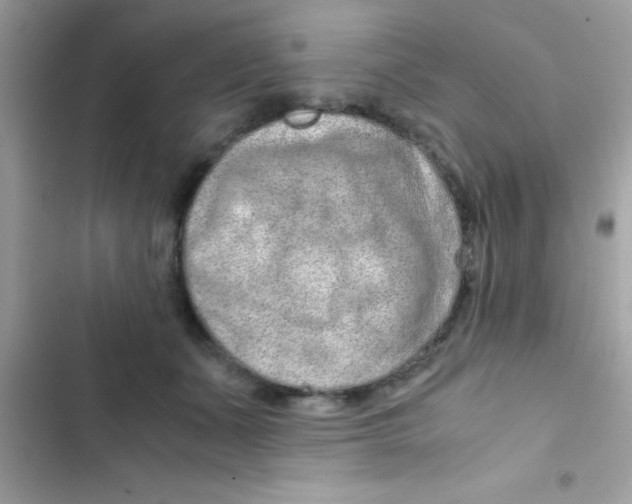 X0000103140511200809192008