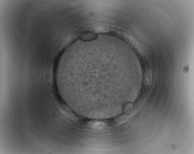 X0000103140512200809192008