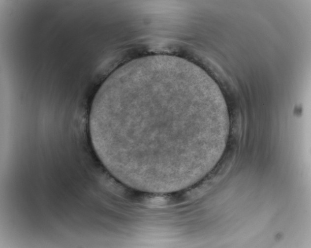 X0000103140513200809192008