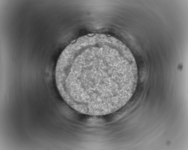 X0000103140515200809192008