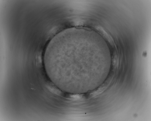 X0000103140516200809192008