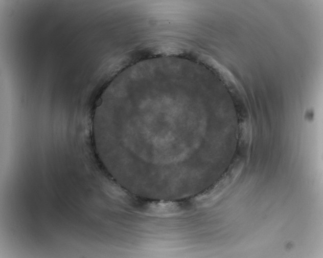 X0000103140517200809192008