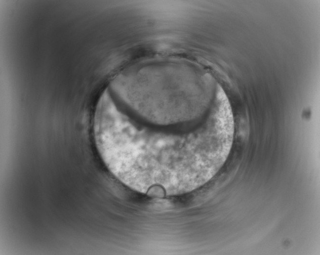 X0000103140519200809192008