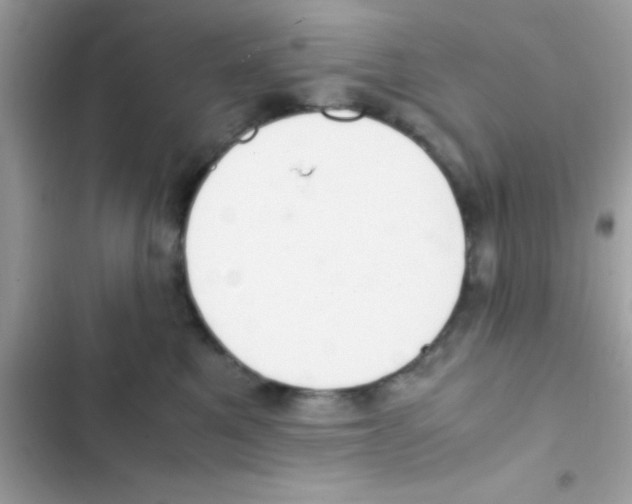 X0000103140521200809192008