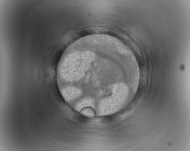 X0000103140523200809192008