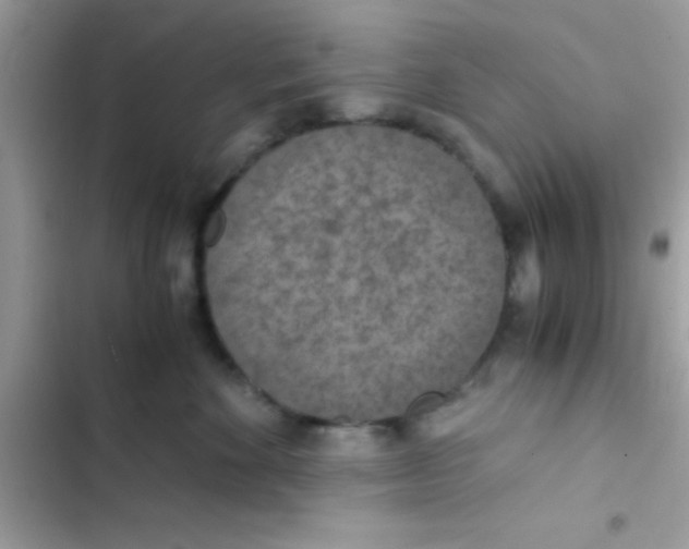 X0000103140524200809192008