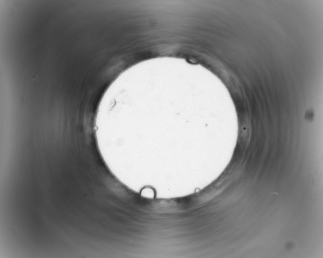 X0000103140525200809192008