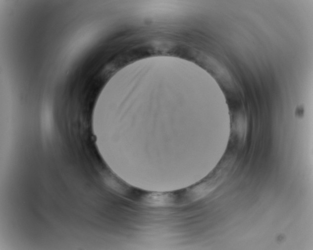 X0000103140526200809192008