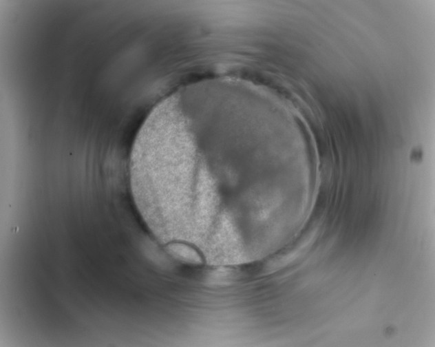 X0000103140527200809192008