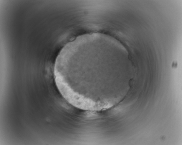 X0000103140528200809192008