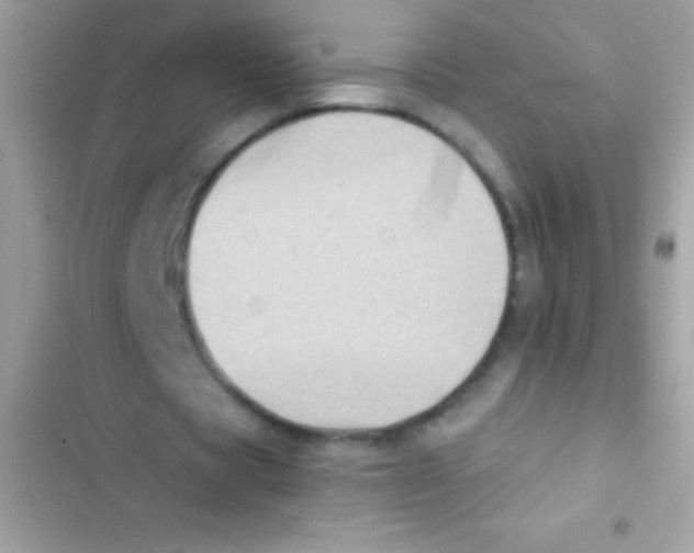 X0000103140529200809192007