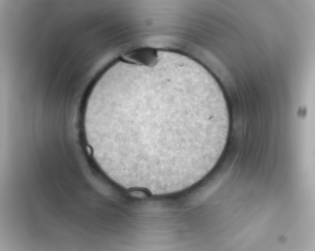 X0000103140530200809192007