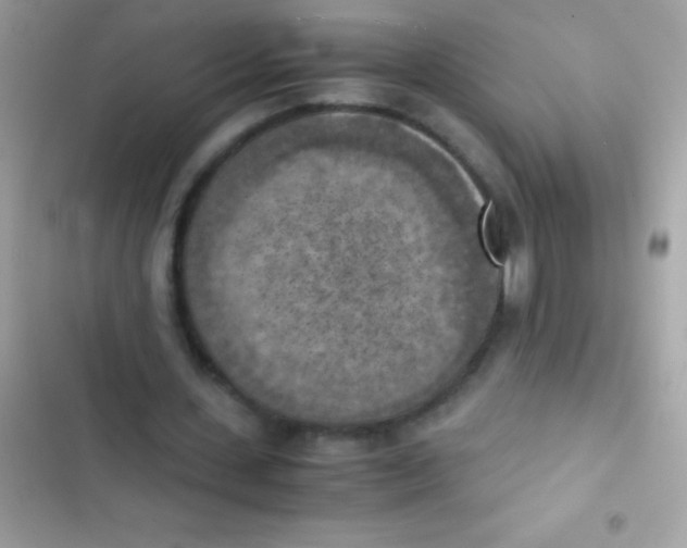 X0000103140531200809192007