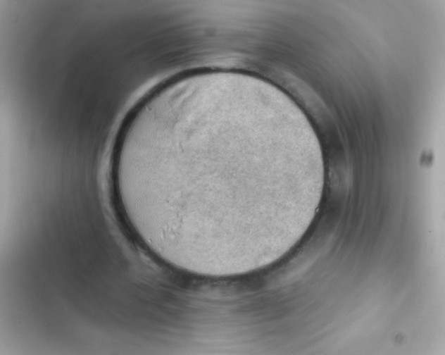 X0000103140532200809192007