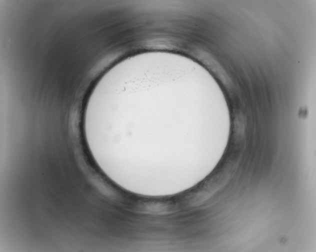 X0000103140533200809192007