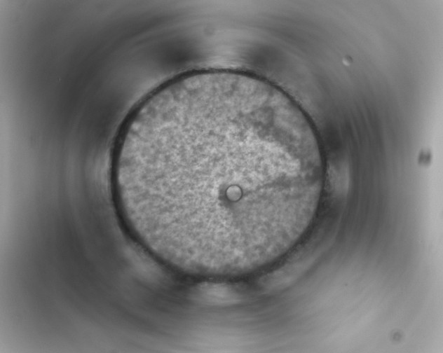 X0000103140534200809192007