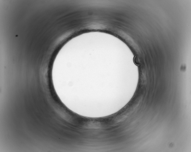 X0000103140535200809192007