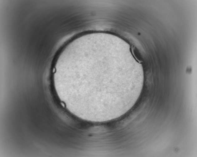 X0000103140536200809192007