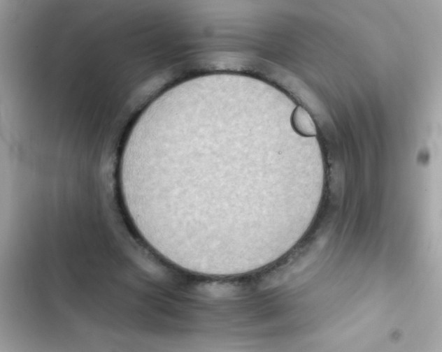 X0000103140537200809192007