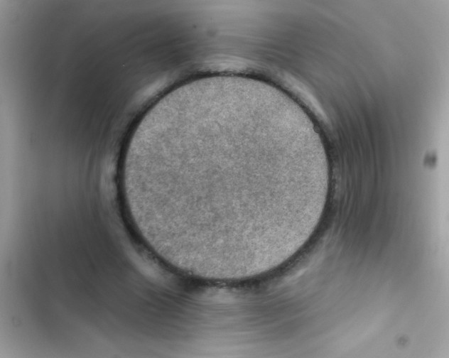 X0000103140538200809192007