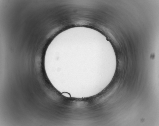 X0000103140539200809192007