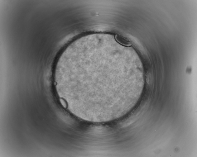 X0000103140540200809192007