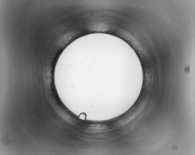 X0000103140541200809192007