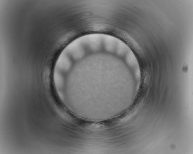 X0000103140542200809192007