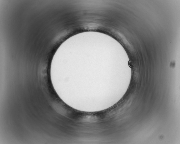 X0000103140543200809192007