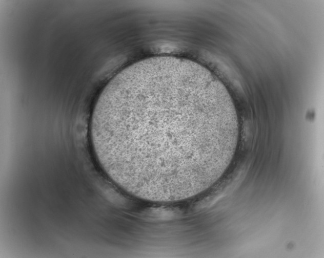 X0000103140545200809192007