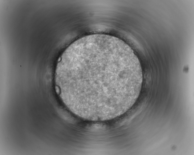 X0000103140546200809192007