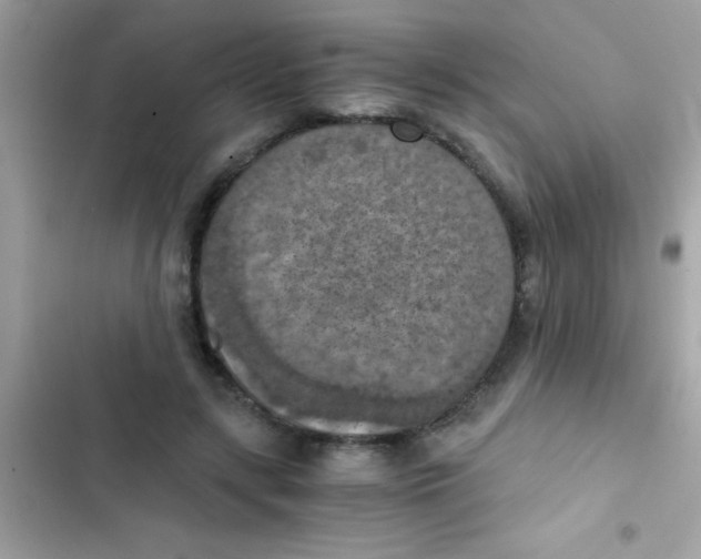 X0000103140547200809192007