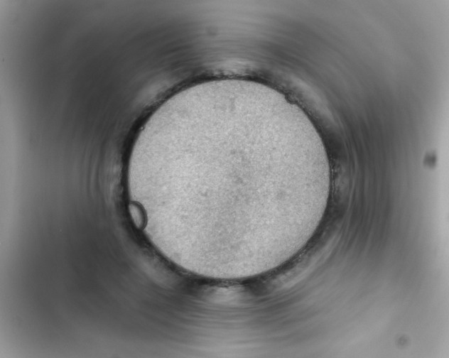 X0000103140548200809192007