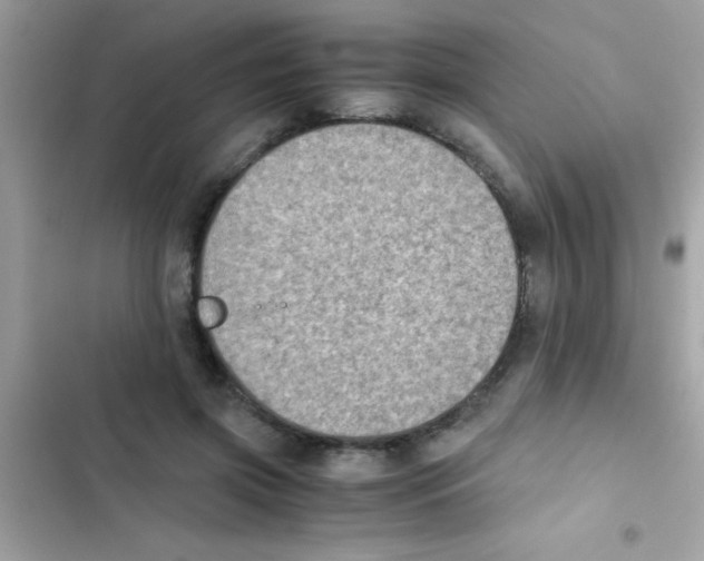 X0000103140549200809192007