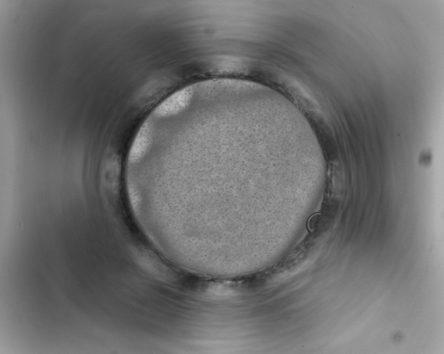 X0000103140550200809192007