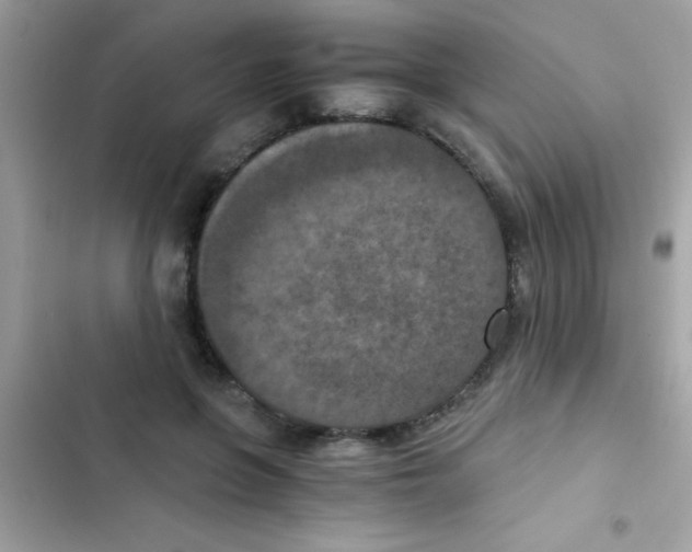 X0000103140551200809192008