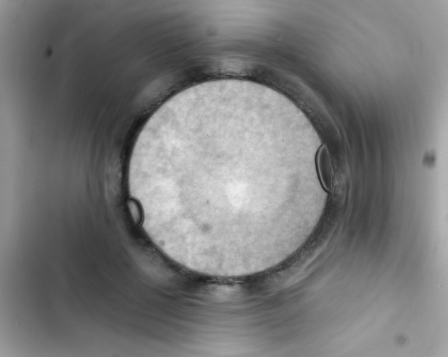 X0000103140552200809192008