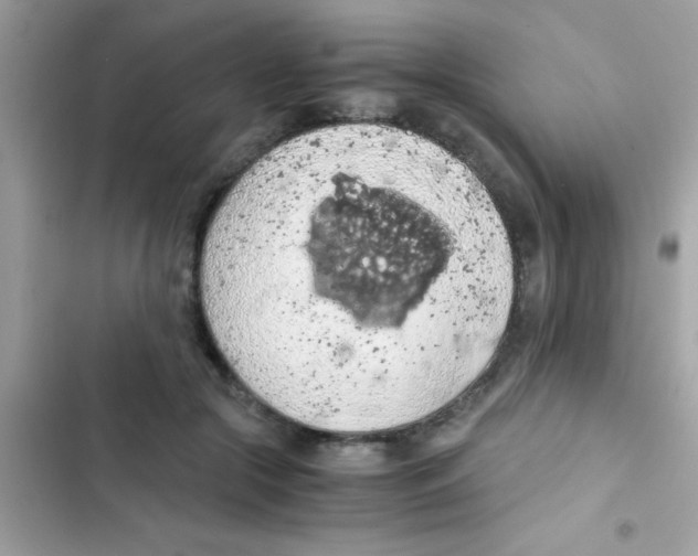 X0000103140553200809192008