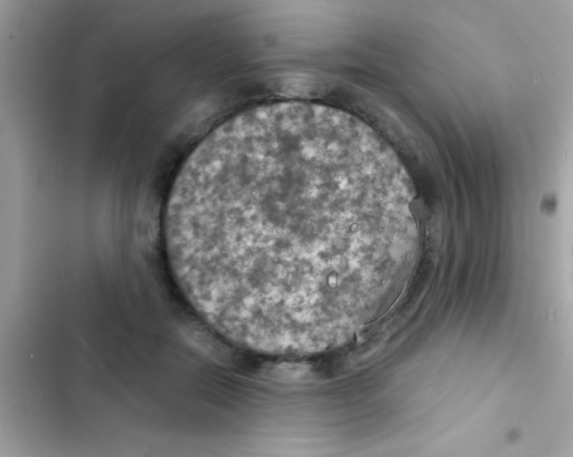 X0000103140554200809192008