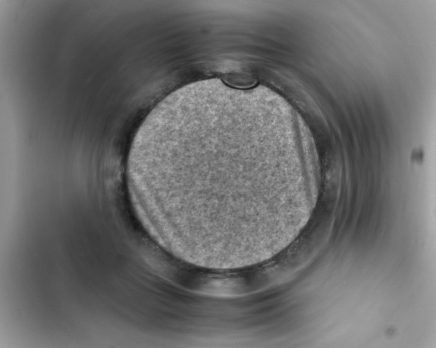 X0000103140555200809192008