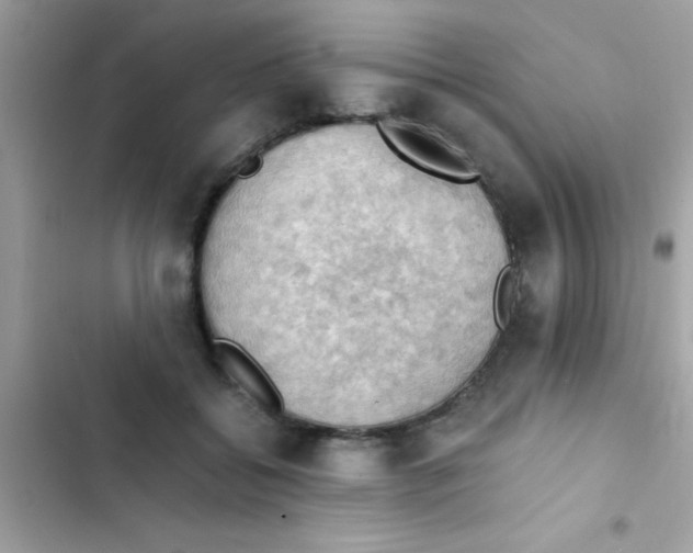 X0000103140556200809192008