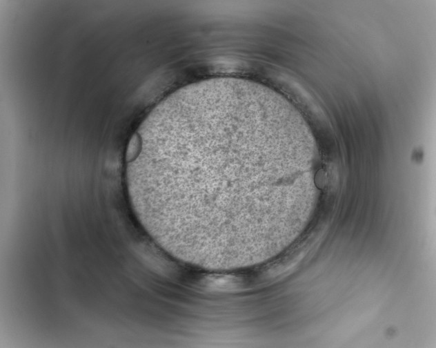 X0000103140557200809192008