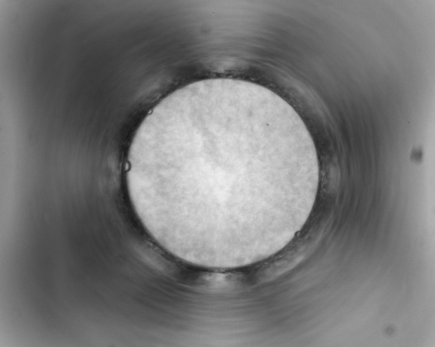 X0000103140558200809192008