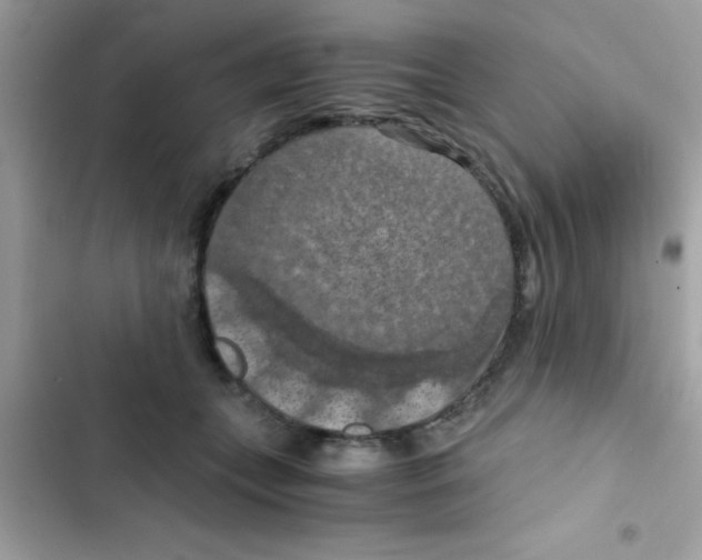 X0000103140559200809192008