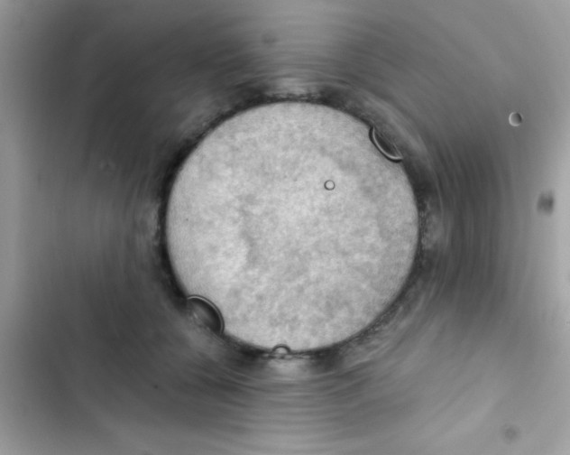 X0000103140560200809192008