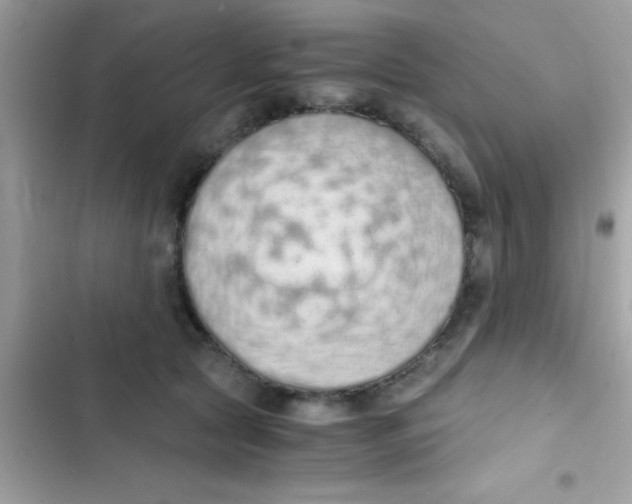 X0000103140561200809192008